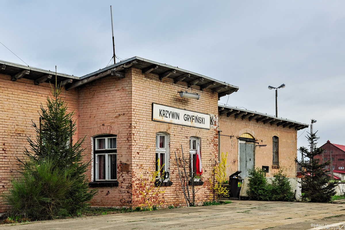 Krzywin Gryf.