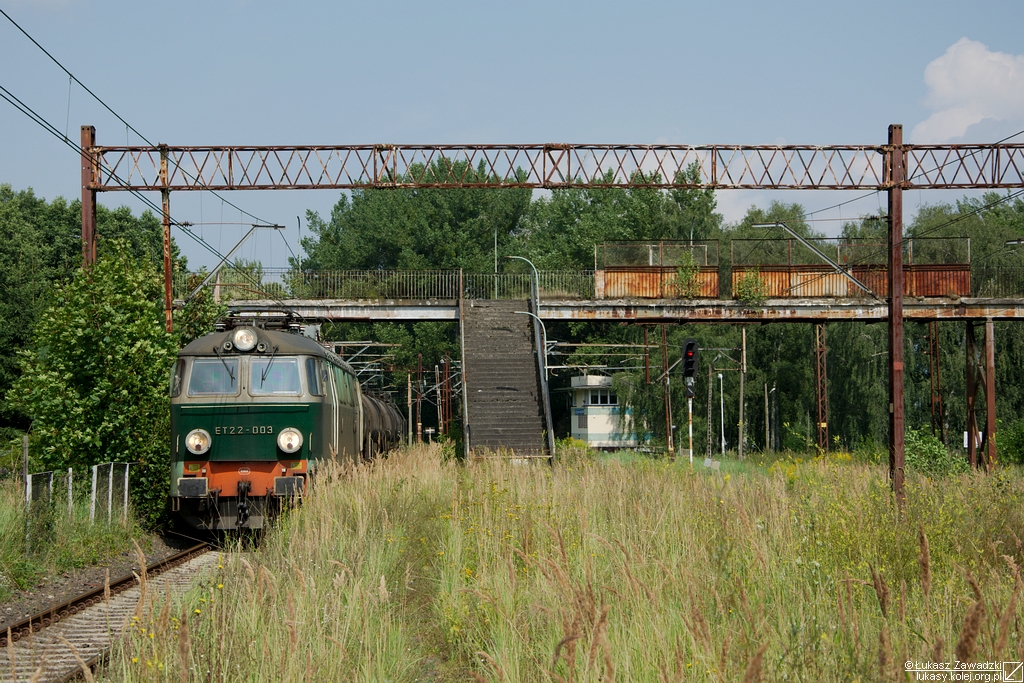 Ogród botaniczny